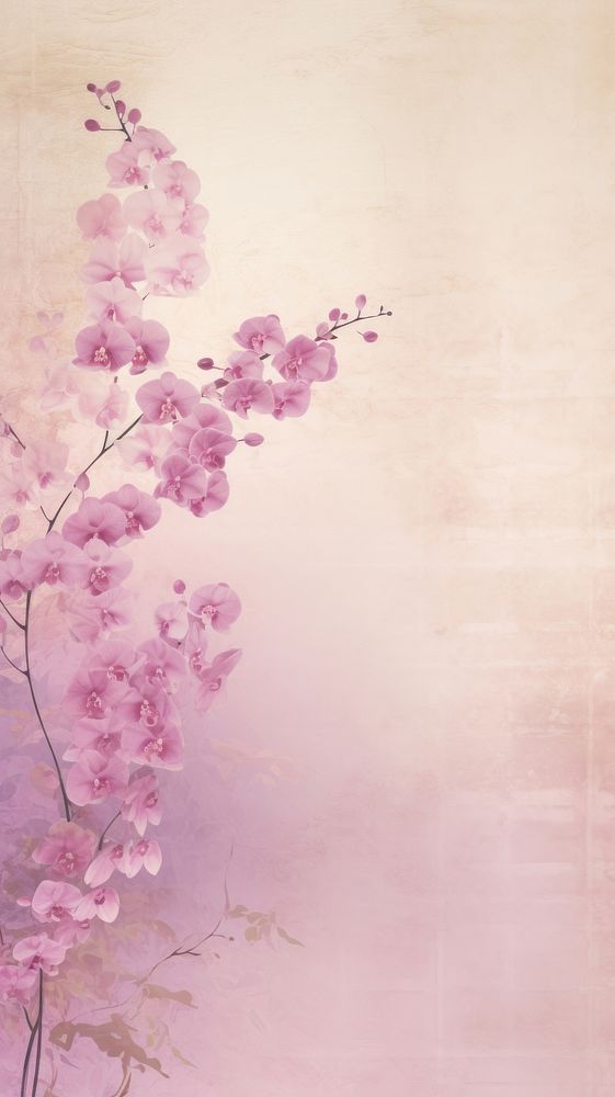 Orchid scenery wallpaper blossom flower plant.