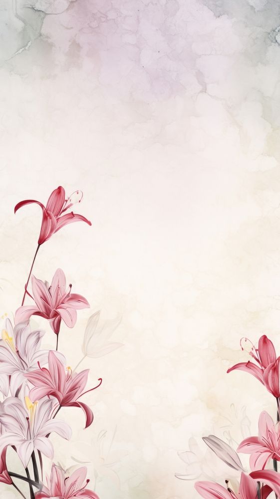 Lily scenery wallpaper blossom flower petal.