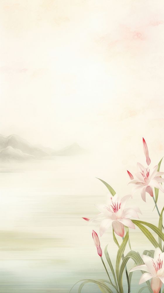 Lily scenery wallpaper flower plant tranquility.