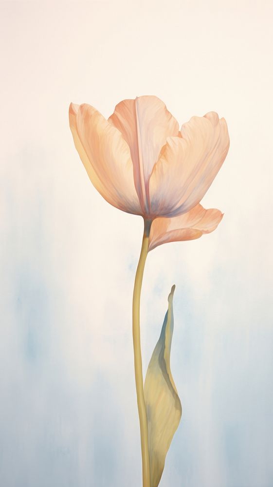 Tulip flower painting petal plant.