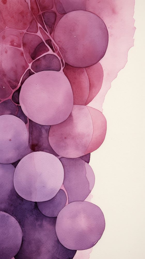 Grape grapes microbiology freshness.