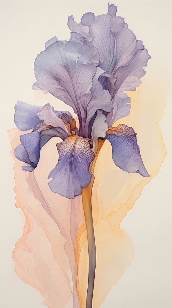 Iris flower petal plant art.