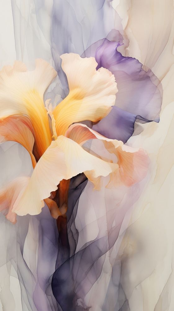 Iris flower abstract petal plant. | Free Photo Illustration - rawpixel