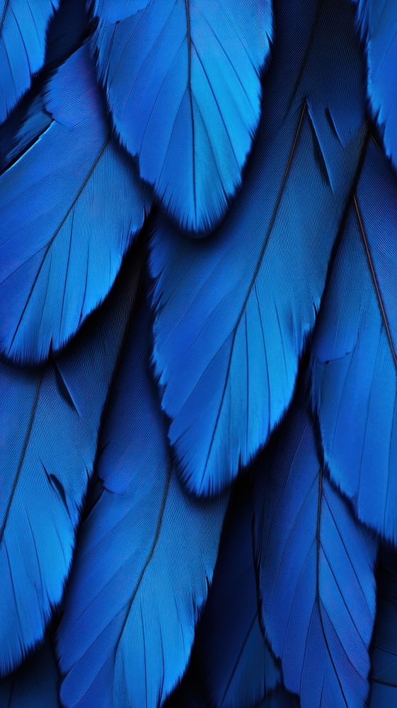 Butterflies wings blue backgrounds lightweight.