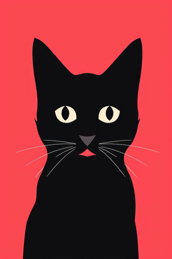 A black cat creativity portrait animal.