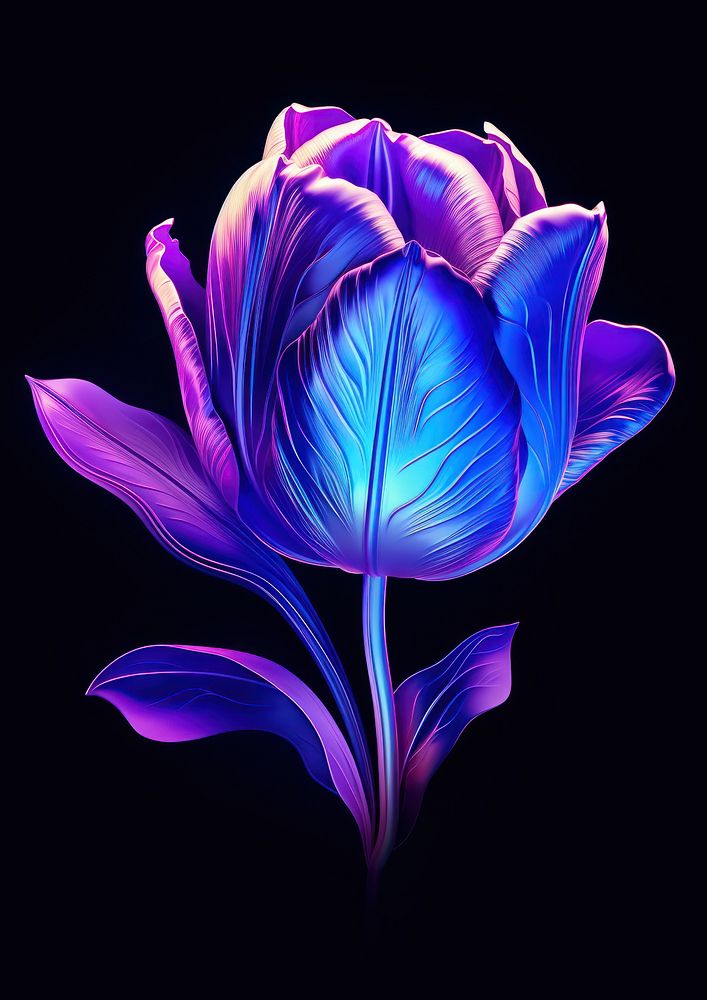 Tulip purple violet flower.