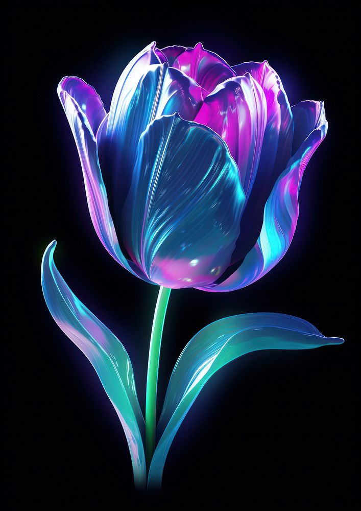 Tulip flower purple petal.