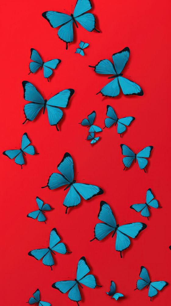 Butterfiles pattern petal blue red.