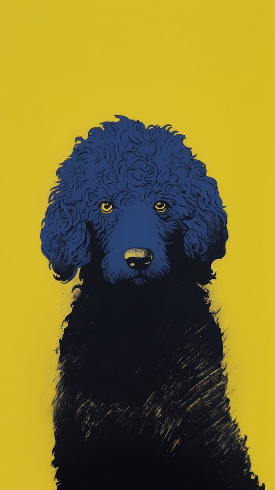 Poodle dog animal mammal yellow.