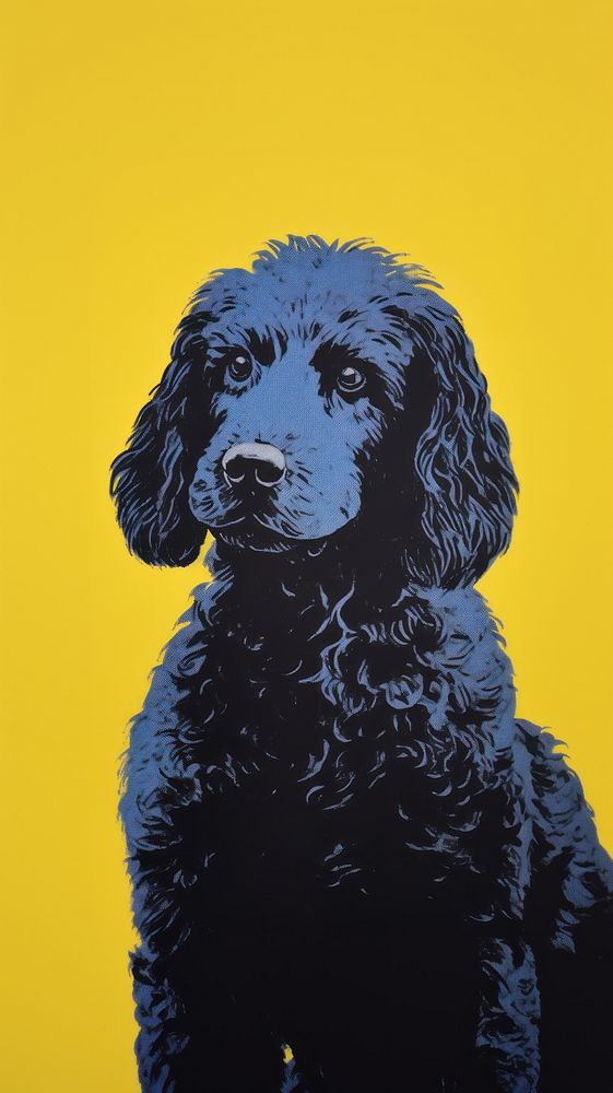 Poodle dog animal mammal yellow.
