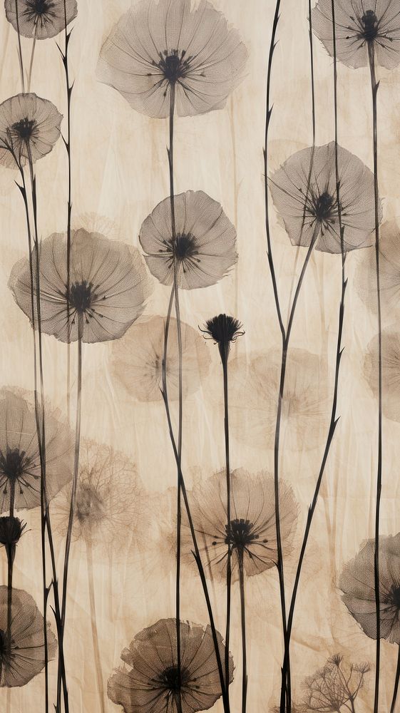 Real pressed roes pattern flower backgrounds wallpaper.