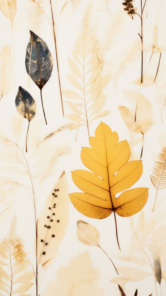 Real pressed foliage backgrounds painting pattern.