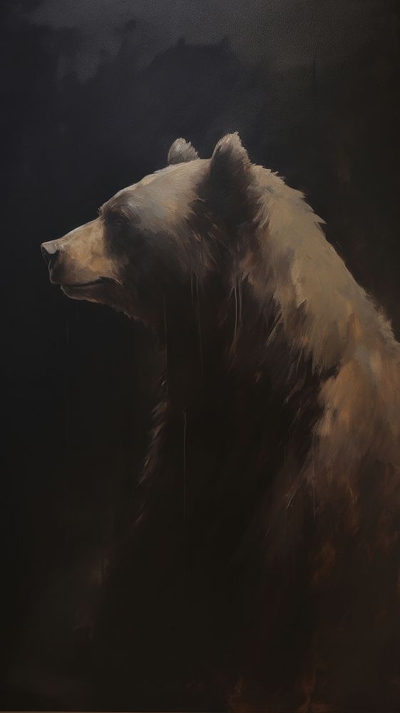 Bear mammal animal darkness.