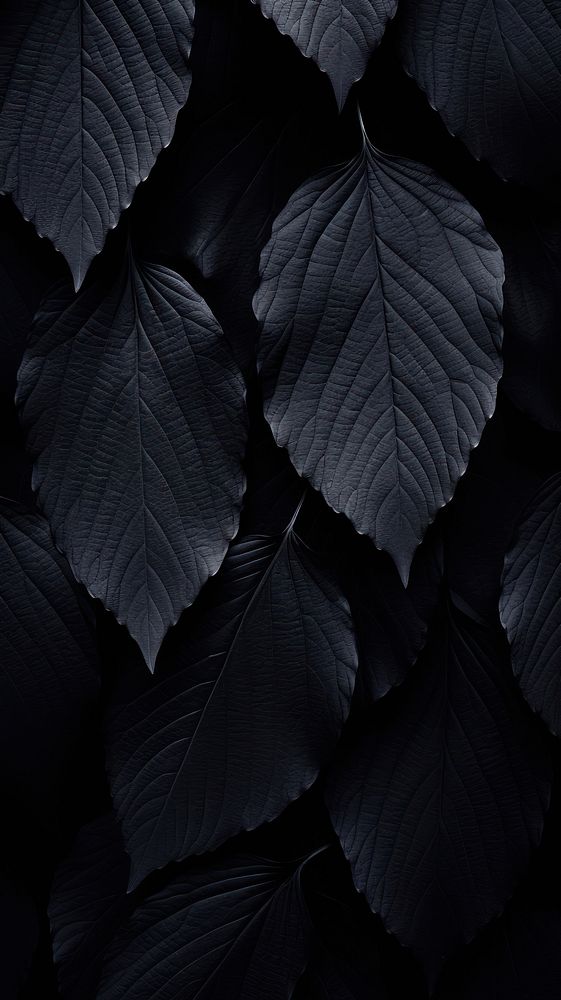 Leaf wallpaper black backgrounds monochrome.