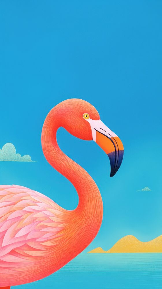 Pink flamingo animal bird beak.