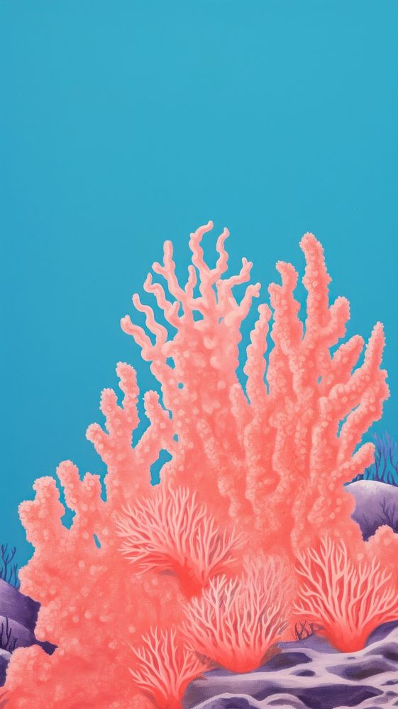 Pink coral reef outdoors nature sea.