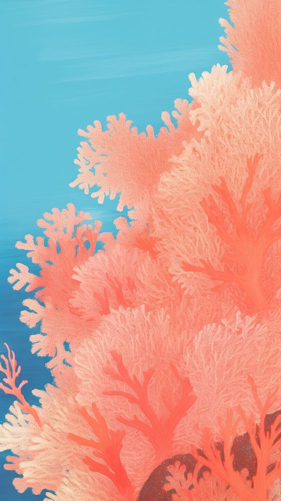 Pink coral reef backgrounds outdoors nature.