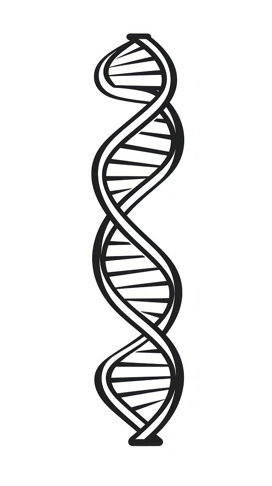DNA strand icon spiral line white background.
