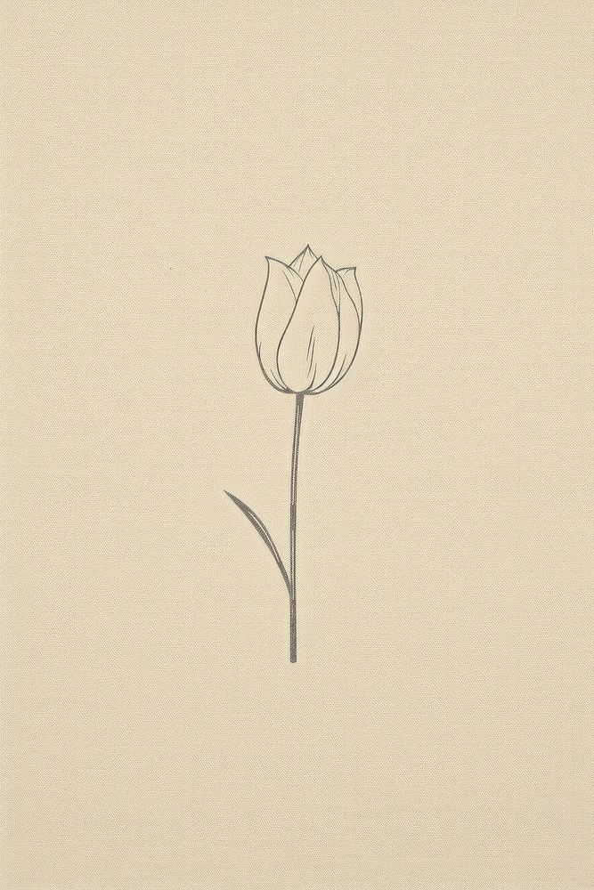 Tulip icon drawing flower sketch.