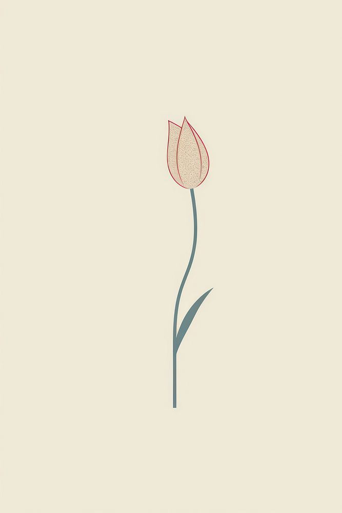 Tulip icon flower plant fragility.