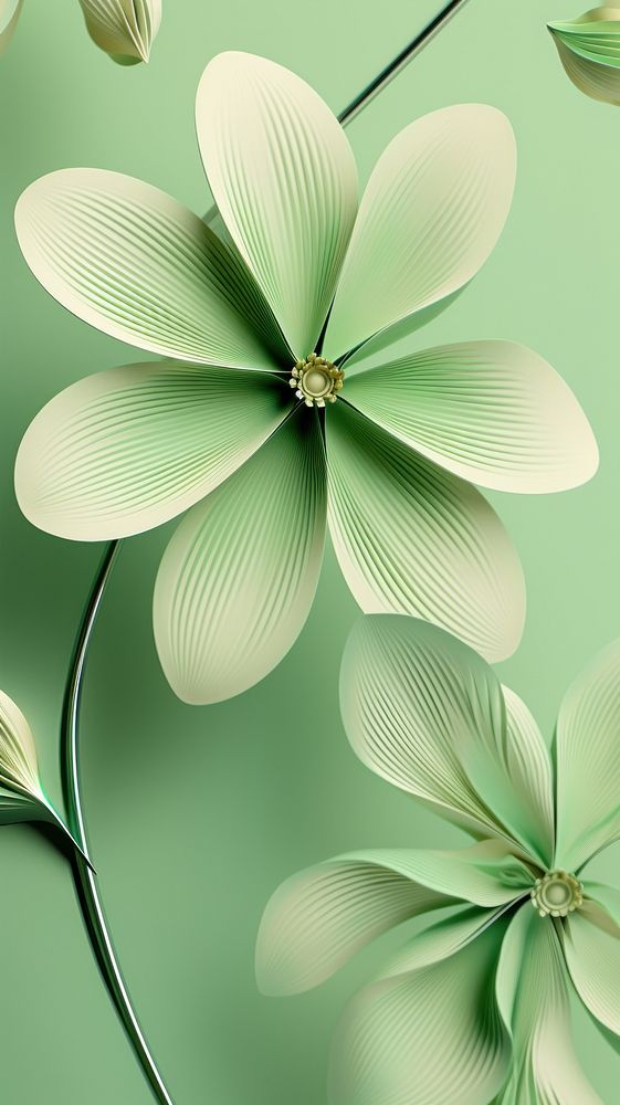 Green flower pattern petal plant.