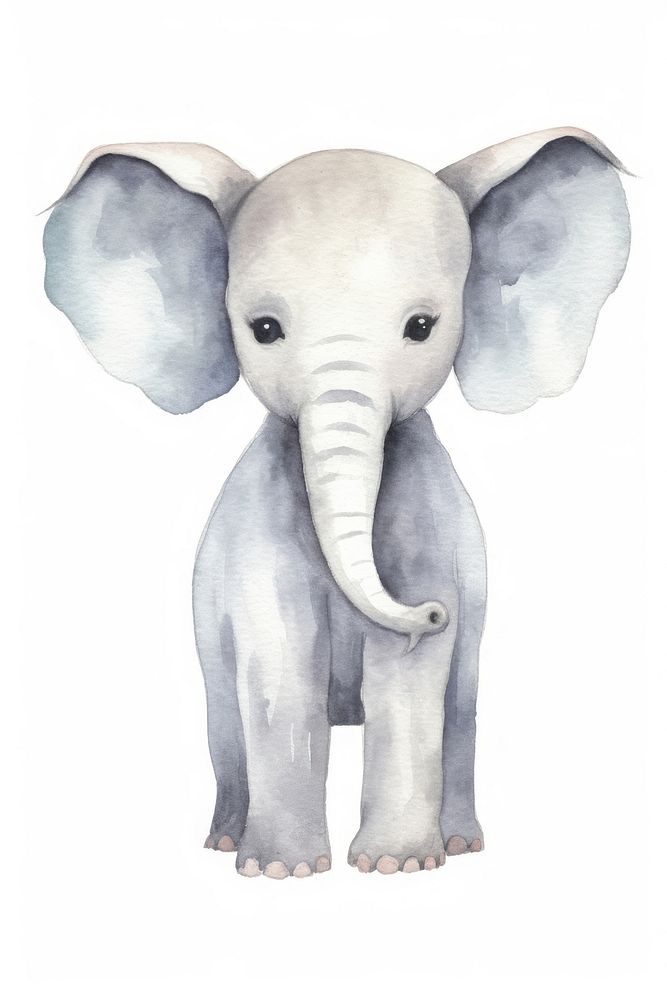 Cute watercolor illustration of a elephant wildlife drawing mammal.