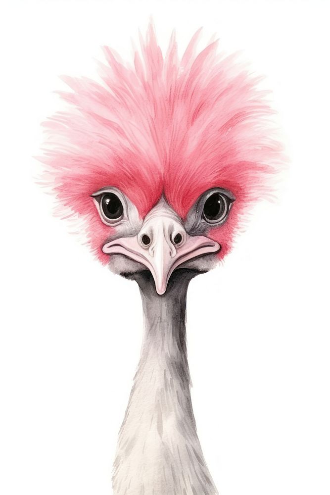 Cute watercolor illustration of a ostrich animal bird beak.