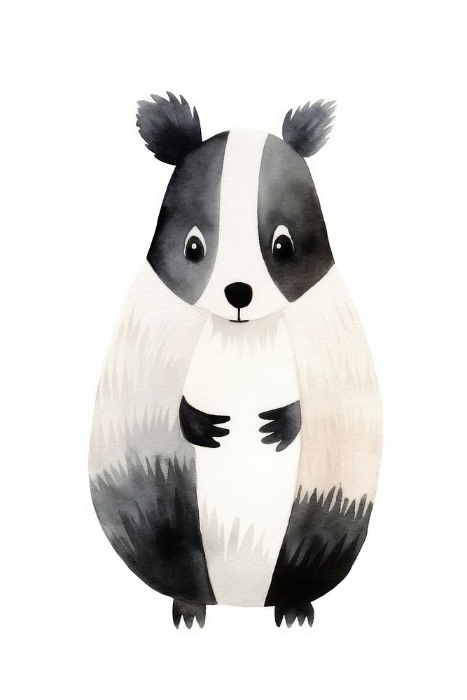 Cute watercolor illustration of a skunk mammal animal white background.