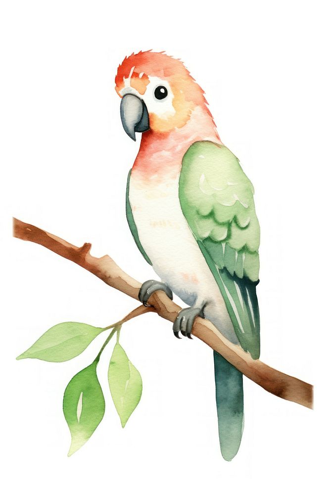 Cute watercolor illustration of a parrot animal bird white background.