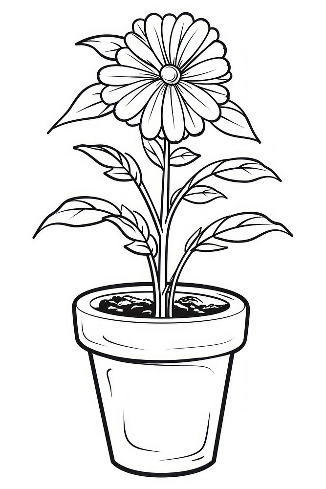 Flower in pot sketch drawing plant.