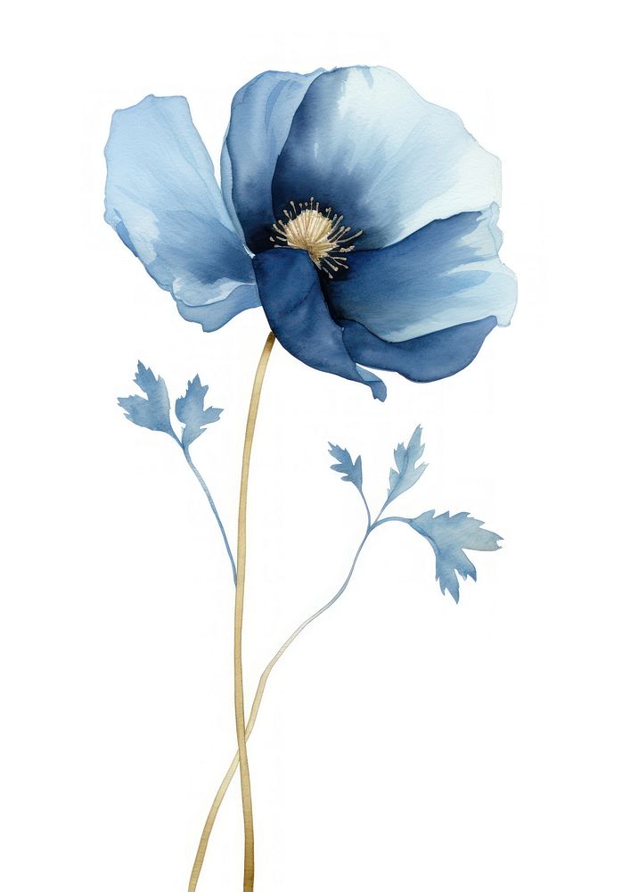 Indigo poppy painting flower petal. | Premium Photo Illustration - rawpixel