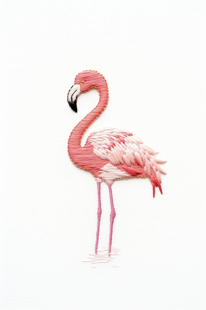 Little flamingo animal bird beak.