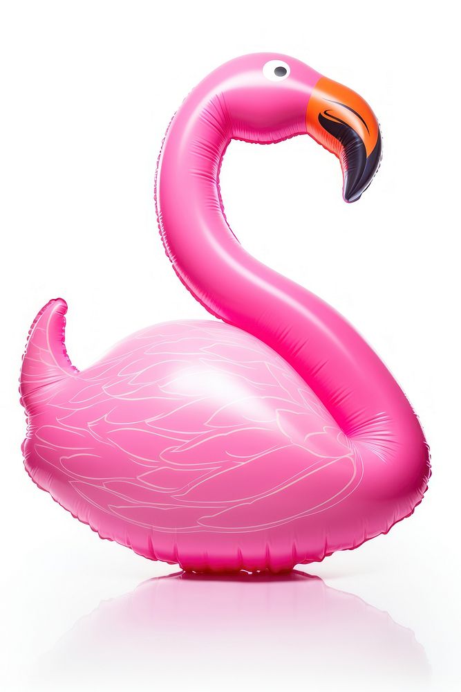 Pink pool inflatable flamingo animal bird beak.