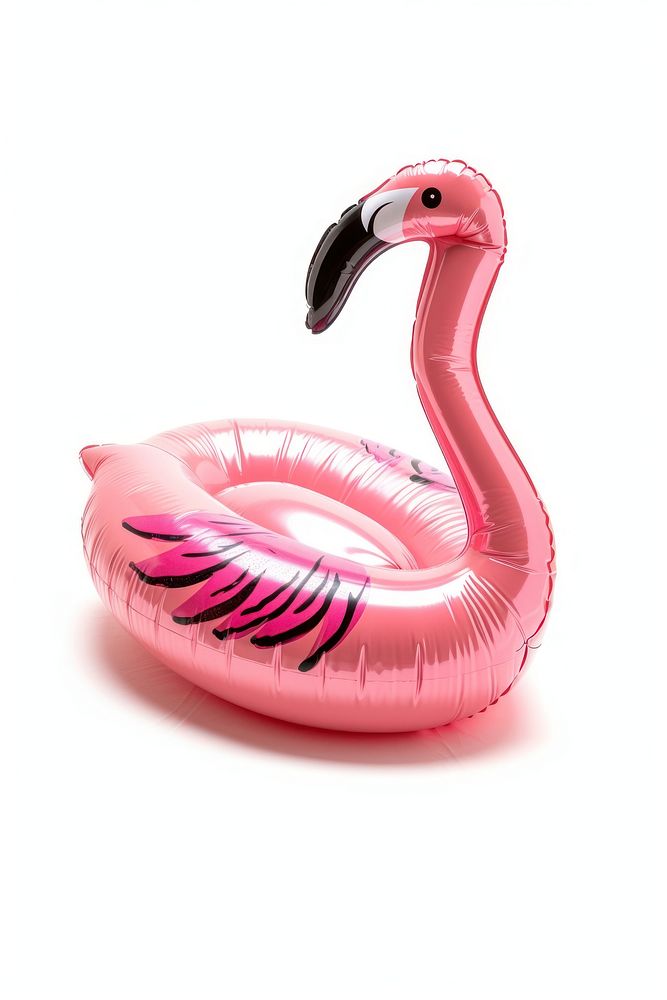 Pink pool inflatable flamingo animal bird beak.