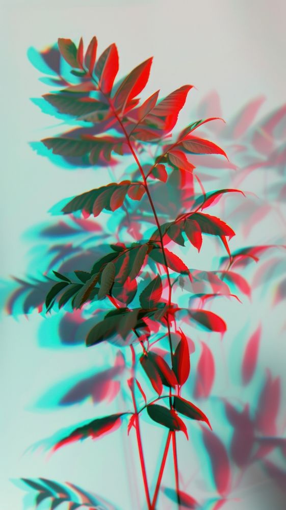 Anaglyph fern leaves outdoors nature plant.