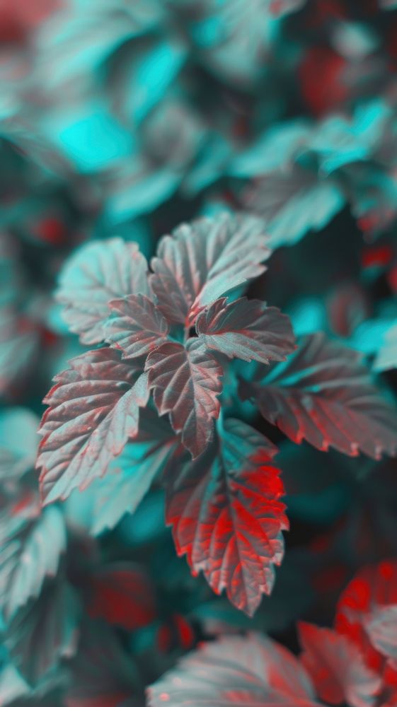 Anaglyph leaves plant leaf red.