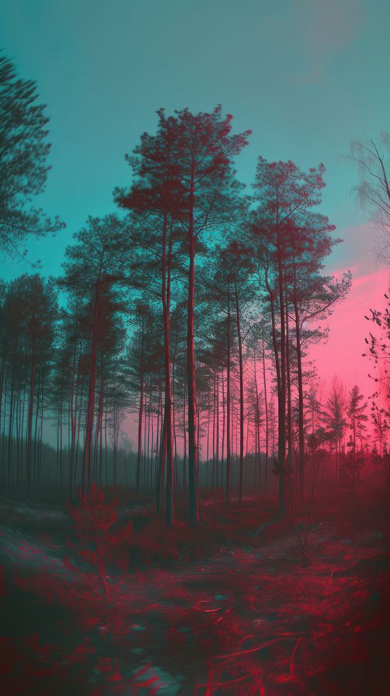 Anaglyph sky and forest landscape outdoors woodland.