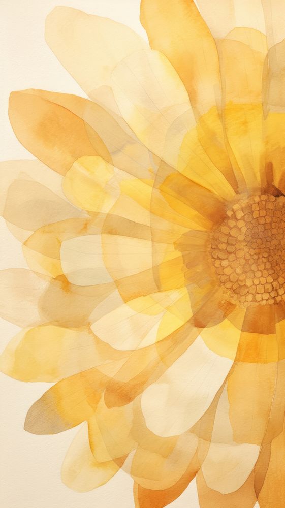 Sunflower abstract petal plant.