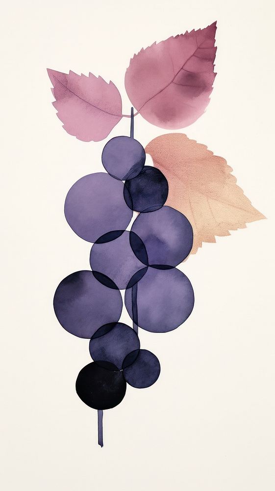 Grape grapes plant freshness.
