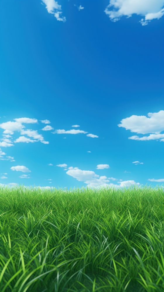 Grass lawn wallpaper sky backgrounds outdoors.