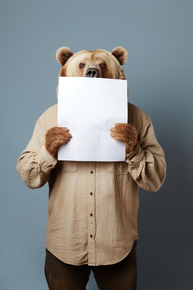 Bear photography portrait holding.