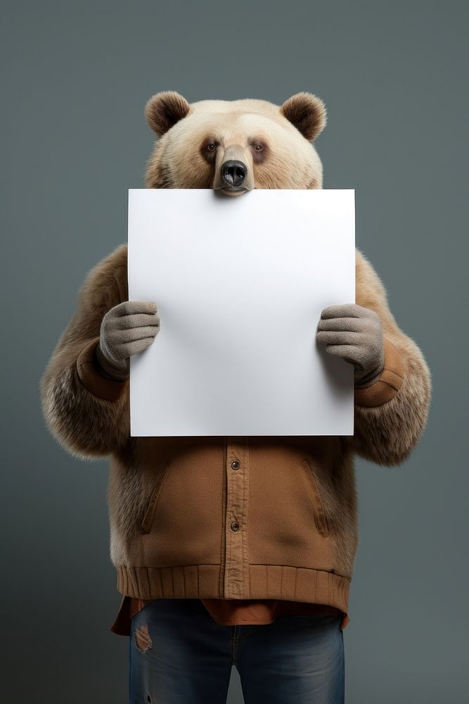 Bear wildlife portrait holding.