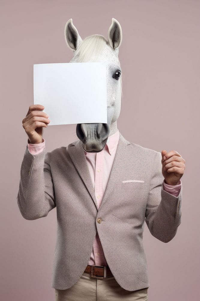 Horse wearing casual attire portrait animal horse.
