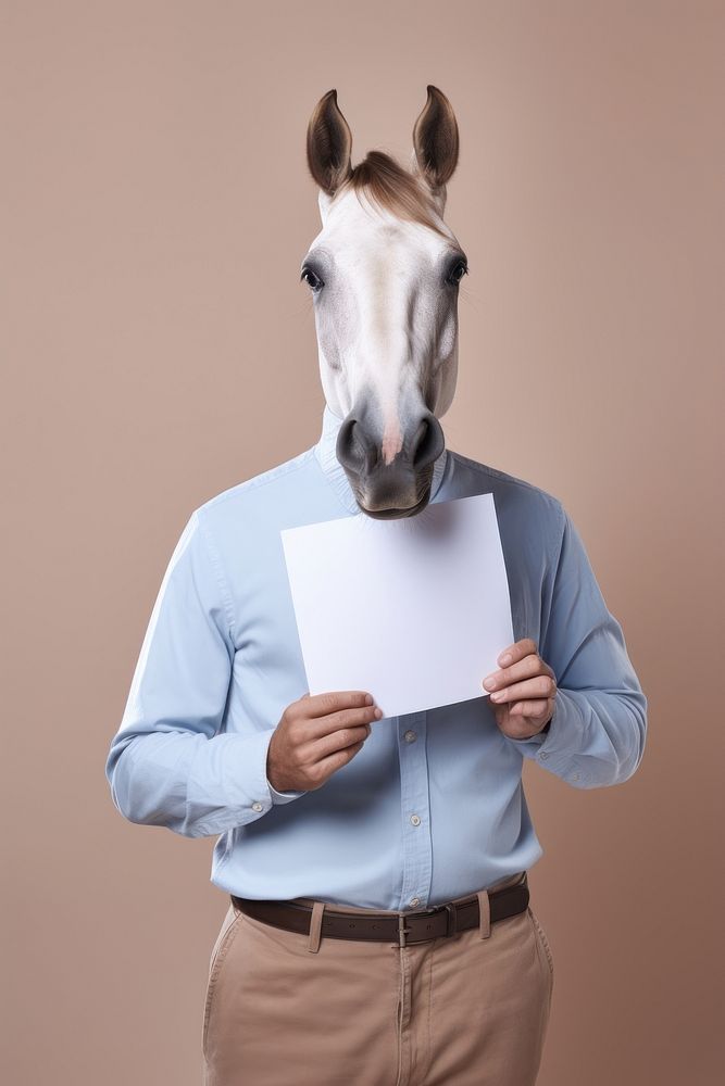 Horse wearing casual attire animal horse document.