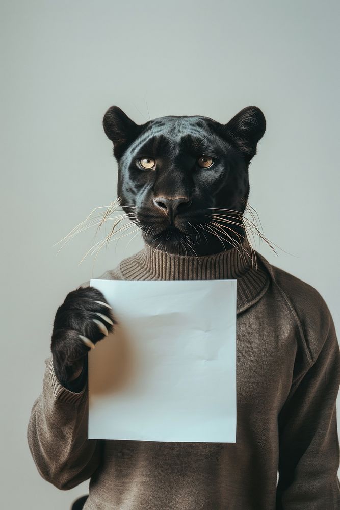 Animal portrait panther mammal.