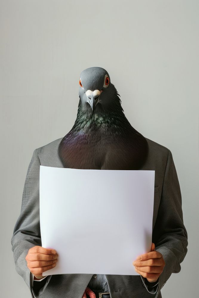 Pigeon wearing casual attireand animal portrait pigeon.