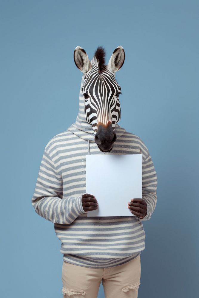 Animal zebra wildlife portrait.