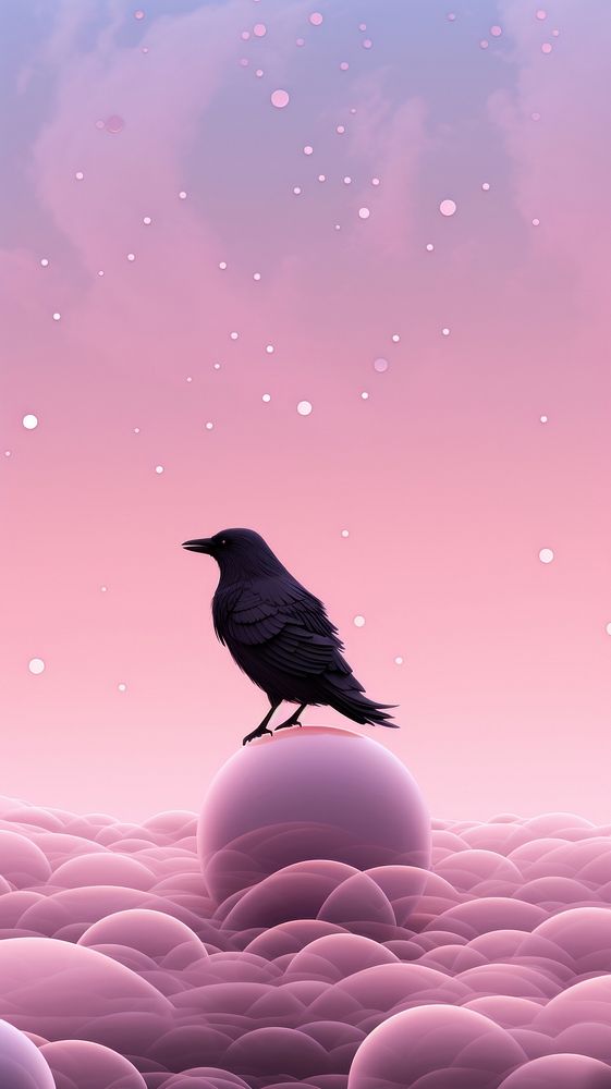Cute Crow dreamy wallpaper animal outdoors nature.