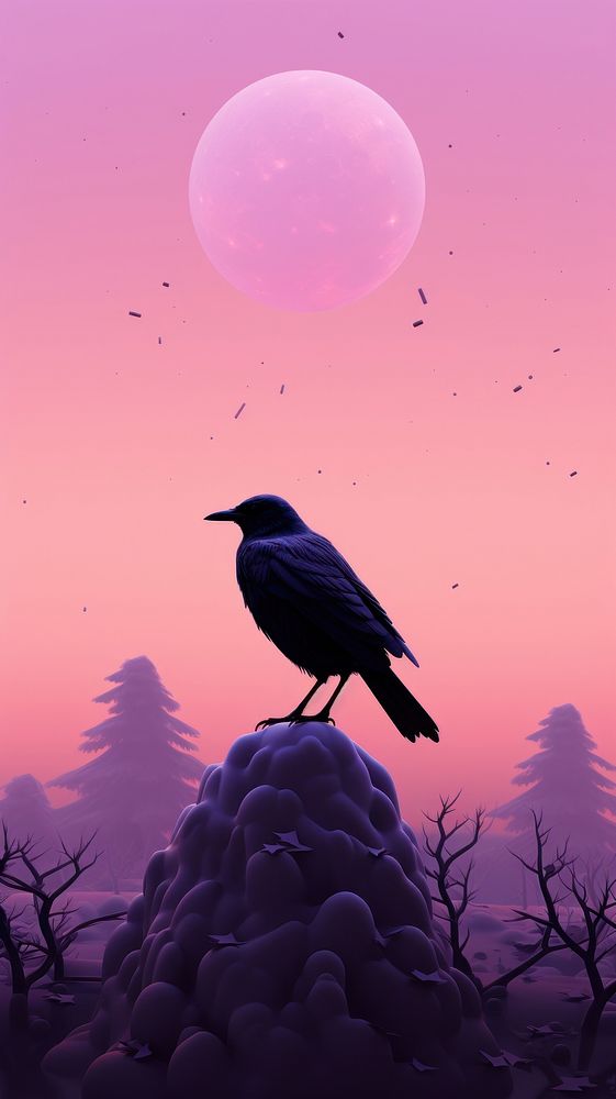 Cute Crow dreamy wallpaper animal outdoors nature.