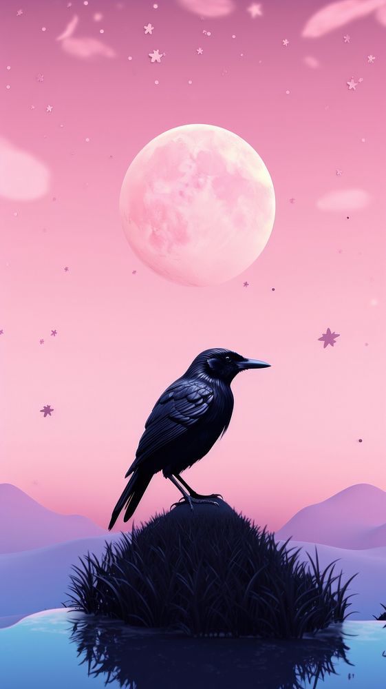 Cute Crow dreamy wallpaper animal astronomy outdoors.